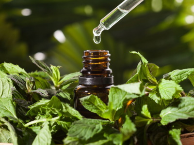 Détermination de la teneur en huile essentielle selon pharmacopée Européenne 9.0